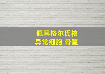 佩耳格尔氏核异常细胞 骨髓